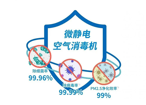 1591866269107407.jpg 7.jpg